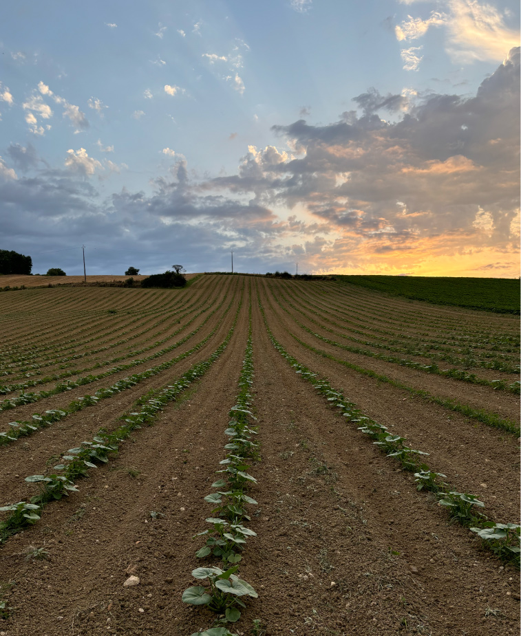 Photo10-Lagardere-siteweb