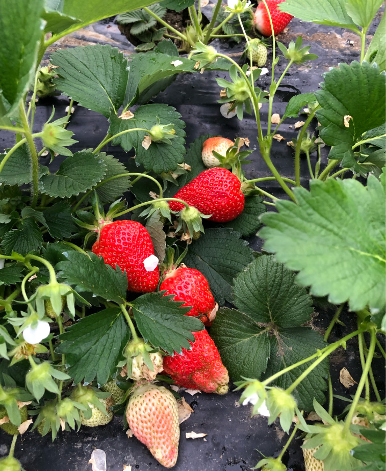 Photo18-Lagardere-siteweb