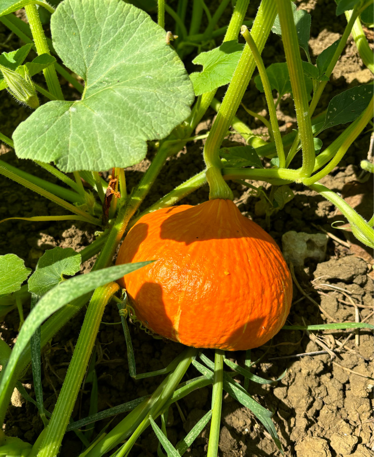 Photo20-Lagardere-siteweb