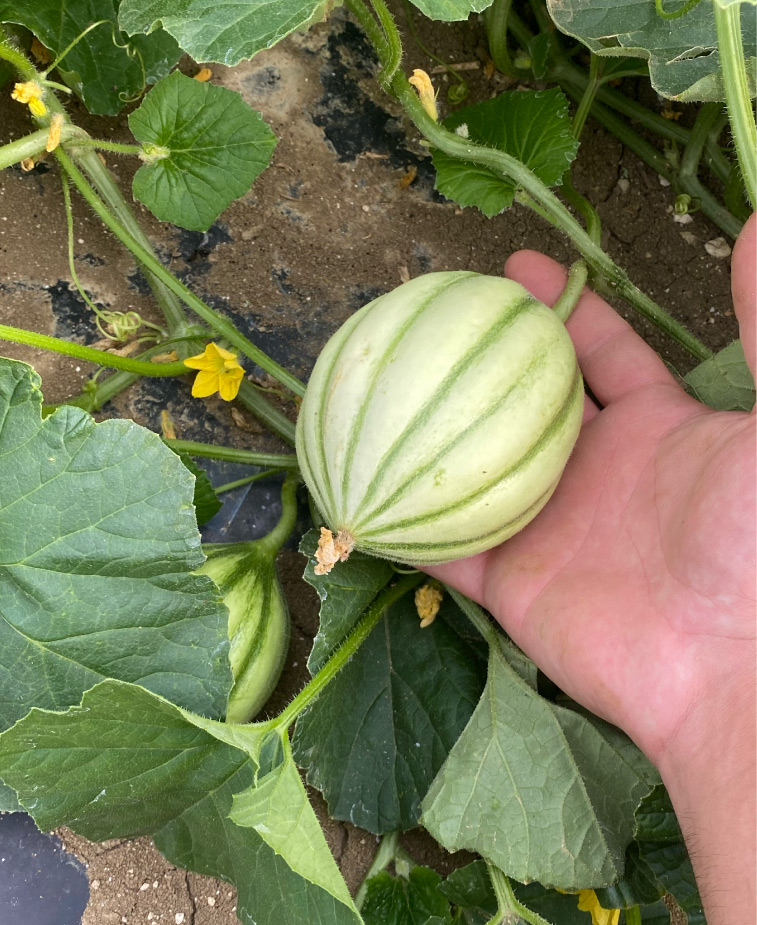 Photo21-Lagardere-siteweb