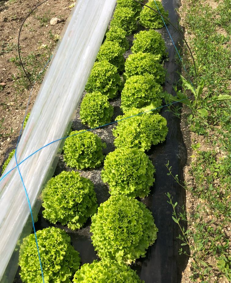 Photo22-Lagardere-siteweb