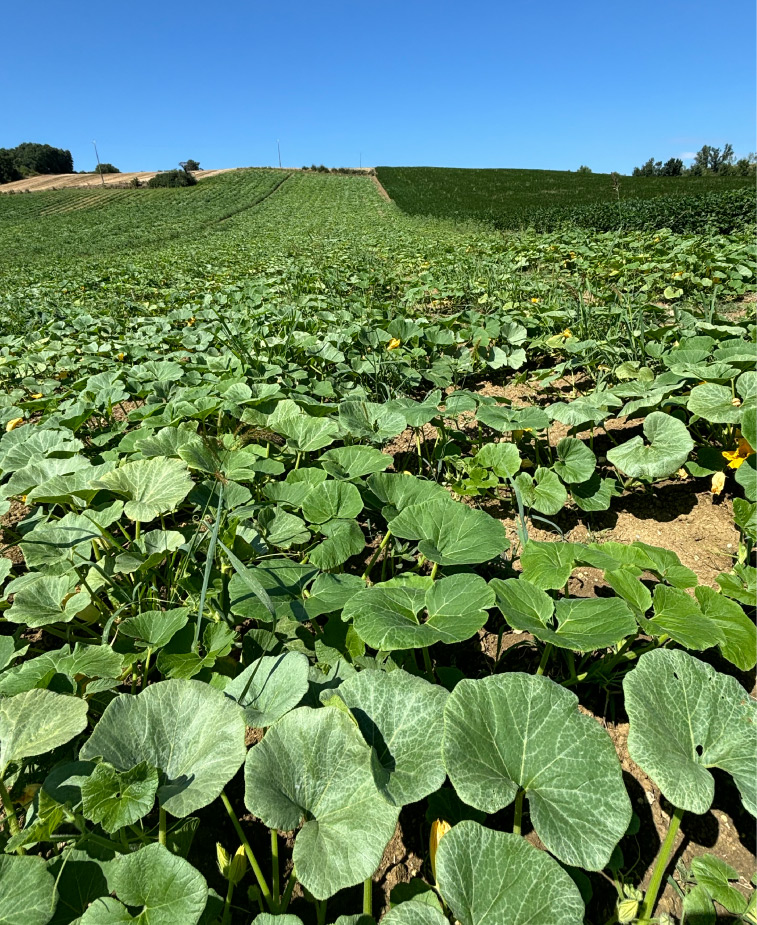 Photo23-Lagardere-siteweb