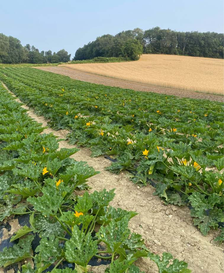 Photo24-Lagardere-siteweb