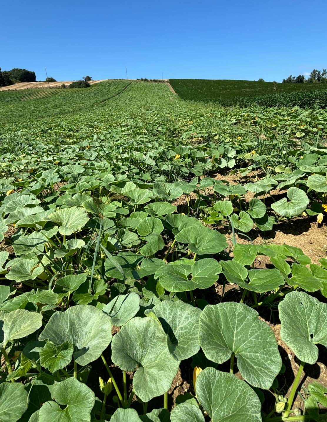 Photo25-Lagardere-siteweb