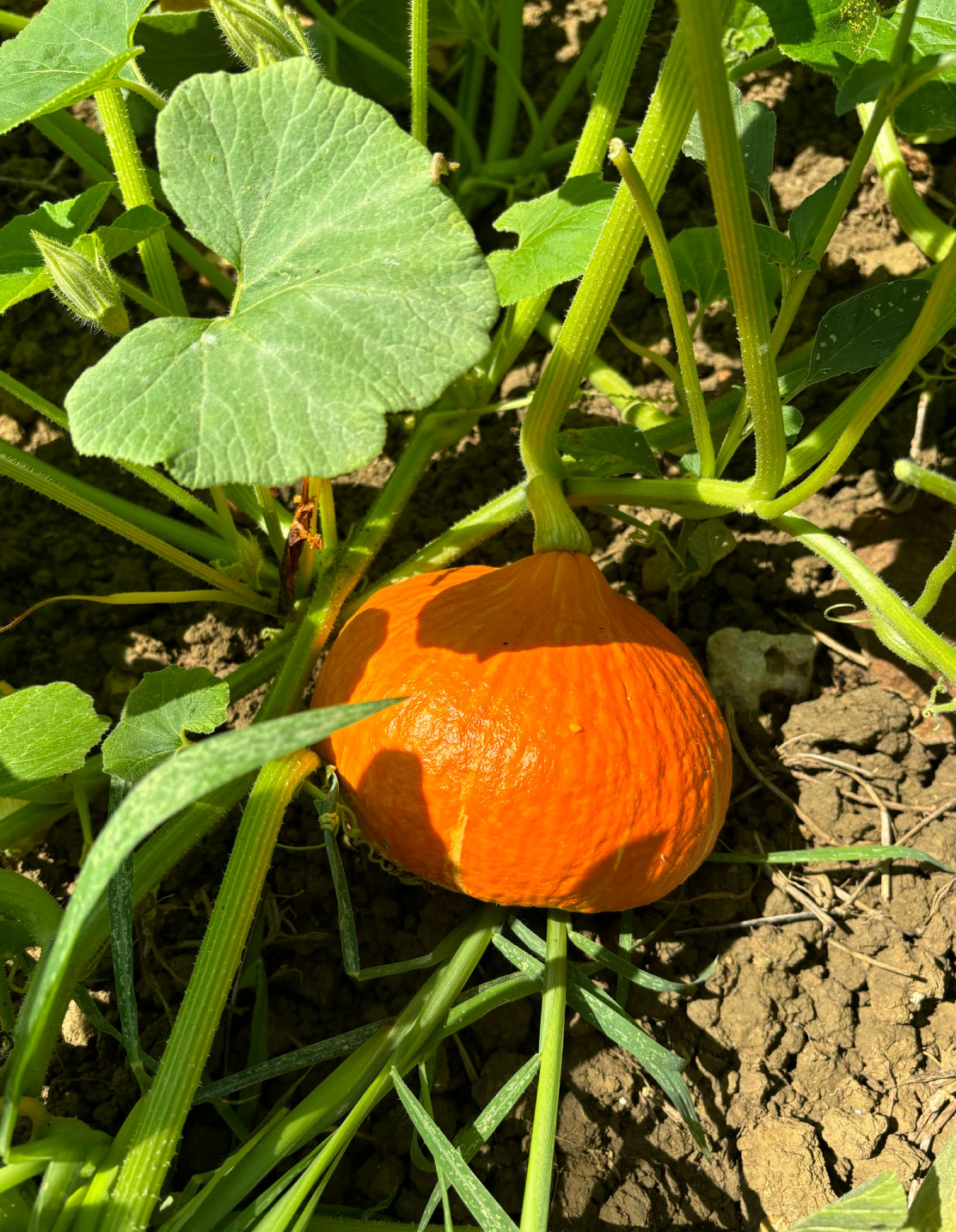 Photo26-Lagardere-siteweb