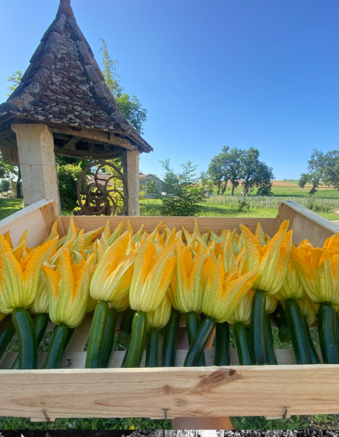 Photo27-Lagardere-siteweb