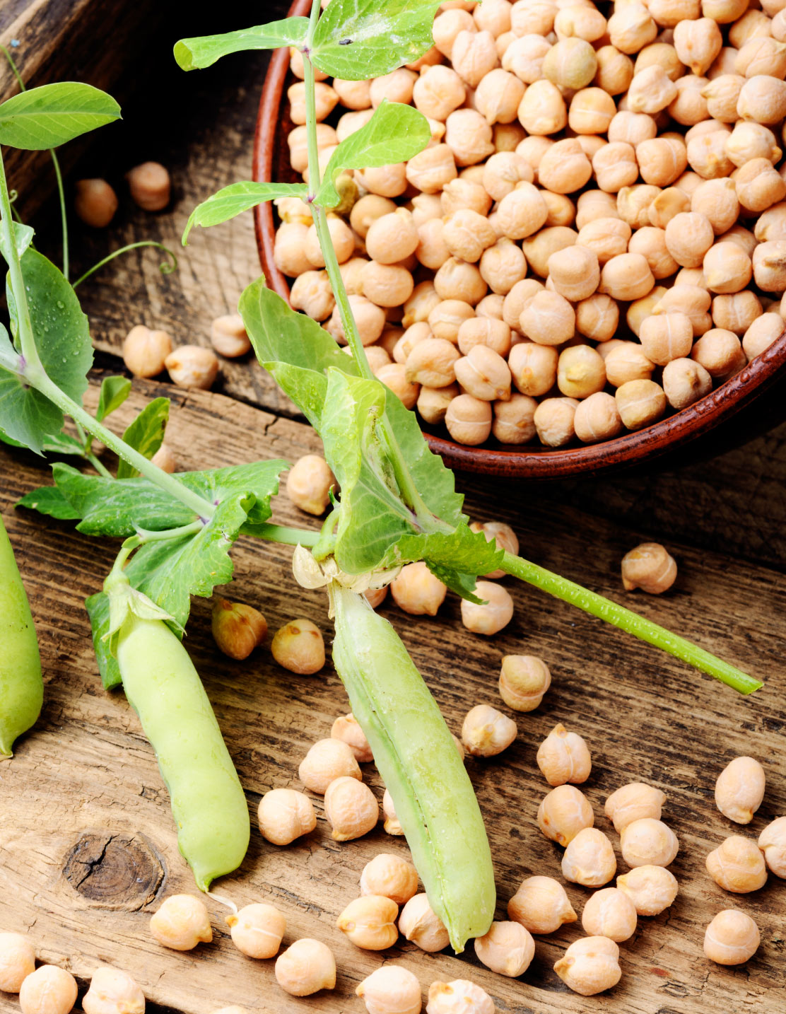 Photo29-Lagardere-siteweb