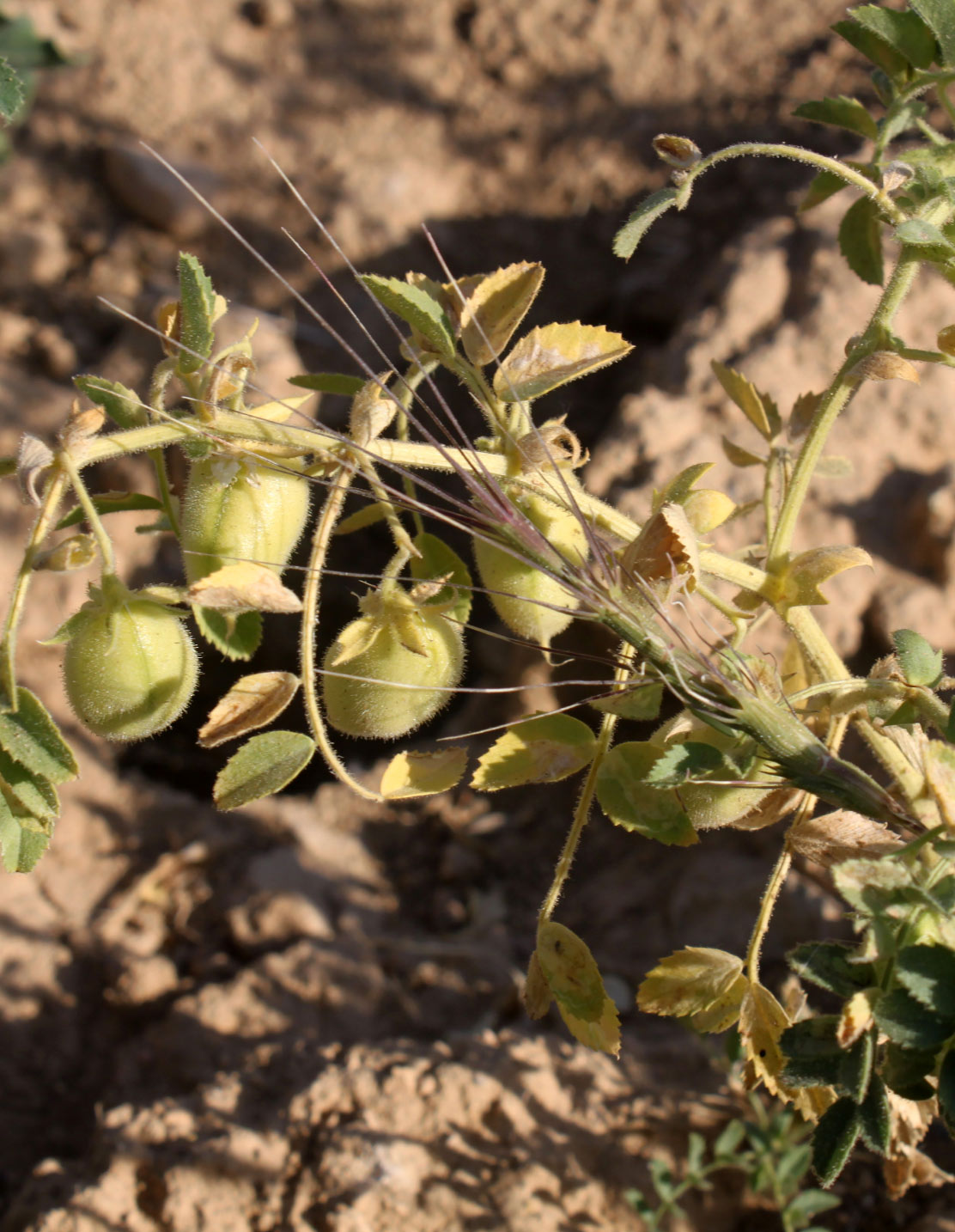 Photo30-Lagardere-siteweb