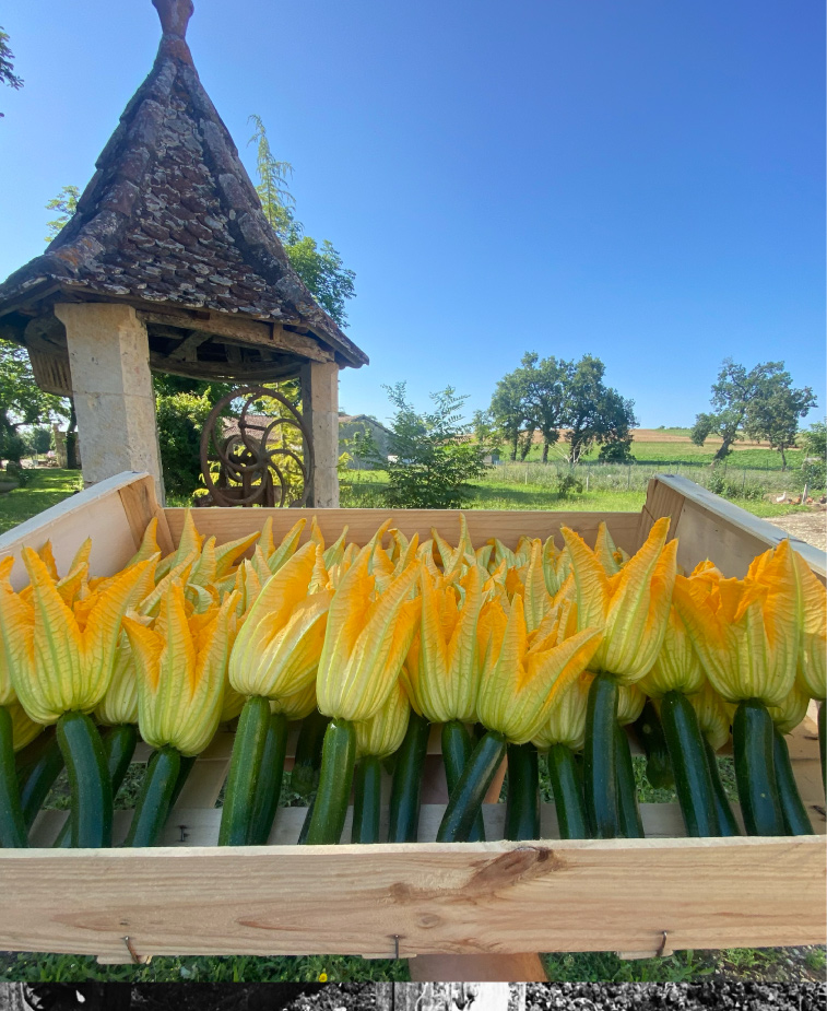 Photo4-Lagardere-siteweb