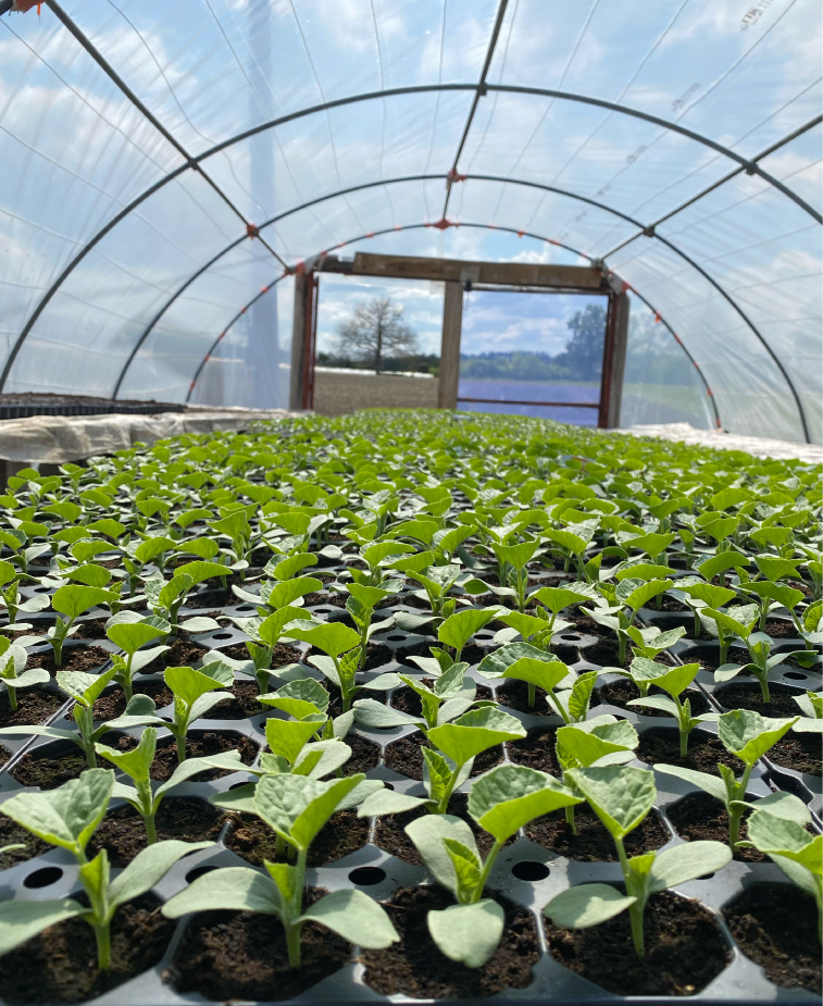 Photo5-Lagardere-siteweb