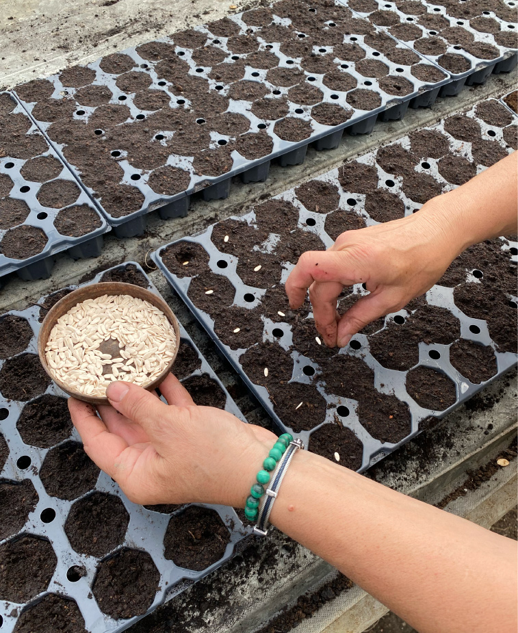 Photo9-Lagardere-siteweb