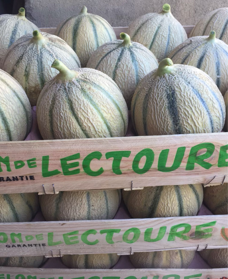 Photo31-Lagardere-siteweb